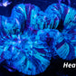 LPS- Trachyphyllia- WA Trachy WYSIWYG 6cm LPS- Trachyphyllia- WA Trachy WYSIWYG 6cm LPS LPS- Trachyphyllia- WA Trachy WYSIWYG 6cm Zeo Box Reef