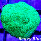 Montipora Coral- SPS Frag- Green Plating Monti WYSIWYG Montipora Coral- SPS Frag- Green Plating Monti WYSIWYG SPS Montipora Coral- SPS Frag- Green Plating Monti WYSIWYG Zeo Box Reef