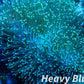 Soft Coral- Leather Coral- Green Polyp Toadstool  8cm Soft Coral- Leather Coral- Green Polyp Toadstool  8cm Soft Coral Soft Coral- Leather Coral- Green Polyp Toadstool  8cm Zeo Box Reef