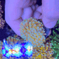 Euphyllia Glabrescens Coral- LPS- Teal Tip 24K Gold Torch Coral 4cm WYSIWYG